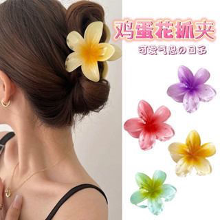 [UPDATE] Kẹp tóc hoa sứ nhiều màu sắc, kẹp tóc đi biển, quà tặng 8...