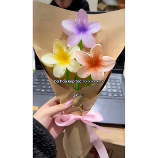 [UPDATE] Kẹp tóc hoa sứ nhiều màu sắc, kẹp tóc đi biển, quà tặng 8...