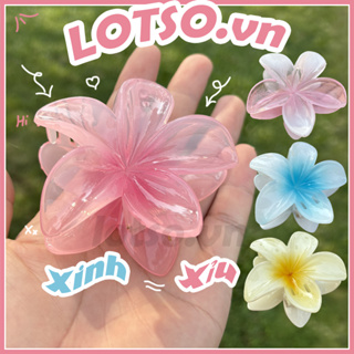 Kẹp Tóc Hoa Sứ Lotso.vn Nhiều Màu Hot Trend. Phụ Kiện Tóc Hình Hoa... Kẹp Tóc Hoa Sứ Lotso.vn Nhiều Màu Hot Trend. Phụ Kiện Tóc Hình Hoa...
