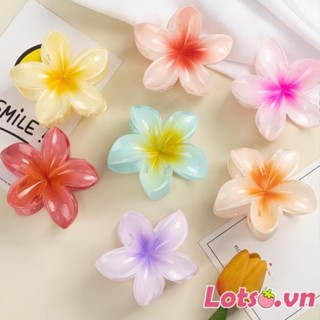 Kẹp Tóc Hoa Sứ Lotso.vn Nhiều Màu Hot Trend. Phụ Kiện Tóc Hình Hoa... Kẹp Tóc Hoa Sứ Lotso.vn Nhiều Màu Hot Trend. Phụ Kiện Tóc Hình Hoa...