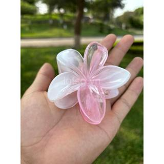 Kẹp Tóc Hoa Sứ Lotso.vn Nhiều Màu Hot Trend. Phụ Kiện Tóc Hình Hoa... Kẹp Tóc Hoa Sứ Lotso.vn Nhiều Màu Hot Trend. Phụ Kiện Tóc Hình Hoa...