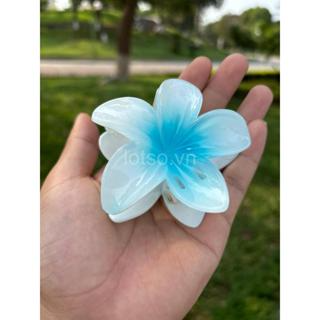 Kẹp Tóc Hoa Sứ Lotso.vn Nhiều Màu Hot Trend. Phụ Kiện Tóc Hình Hoa...