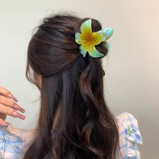Màu Gradient Trứng Hoa Lấy Kẹp Nữ Nửa Tie Tóc Cuộn Dây Vừa Tóc Cá ...