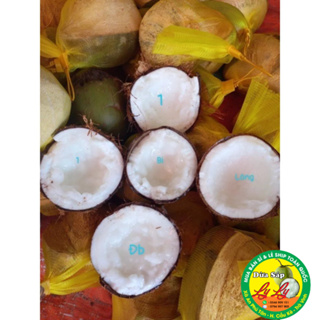 DỪA SÁP ĐẶC RUỘT SỈ LẺ CẦU KÈ TRÀ VINH...