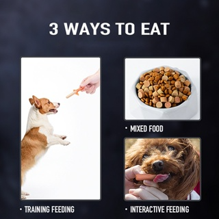 bốn hương vị Xúc Xích Siêu Rẻ Cho Chó Mèo Pet LI0186... bốn hương vị Xúc Xích Siêu Rẻ Cho Chó Mèo Pet LI0186...