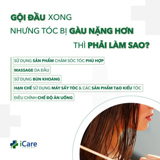 Dầu Gội Antisol Icare Pharma Dược Liệu Ph 6.5 Làm Sạch Gàu, Giảm N...