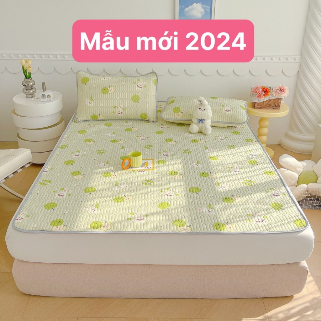 [HÀNG ĐẸP] Chiếu Điều Hòa Cao Su Non Latex 3D, 5D New 2024 - Chiếu...