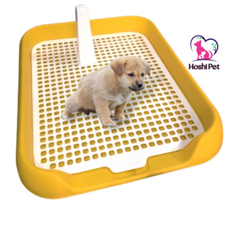 Khay vệ sinh cho chó nhỏ thành thấp Hoshi Pet KC06 - Khay đái cho ...